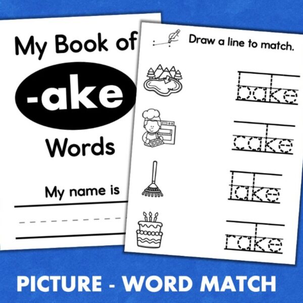 CVCe word families printable books